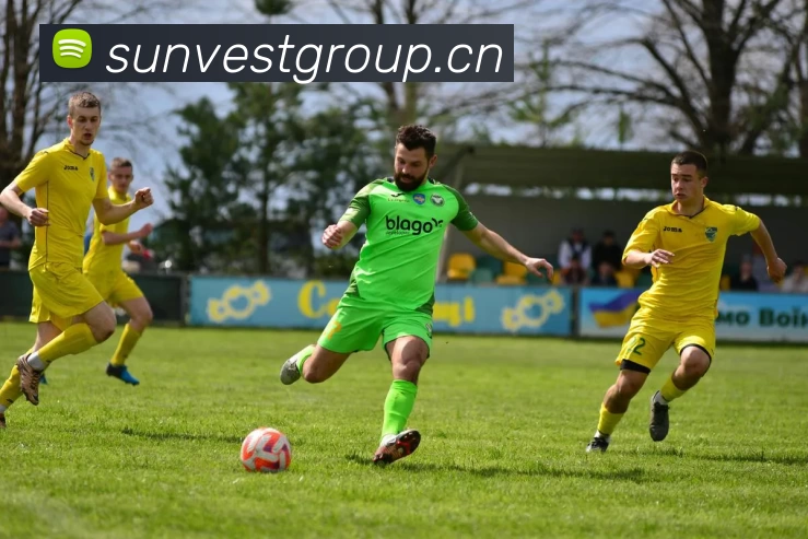 8868体育服务体系